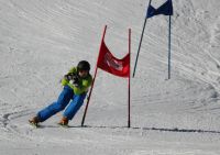 Landes-Ski-2015 50 Wolfgang Spießberger